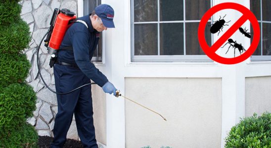 Gümüşhacıköy Tahtakurusu İlaçlama böcek ilaçlama ve haşere kontrolü — ilaclama-tr.com
